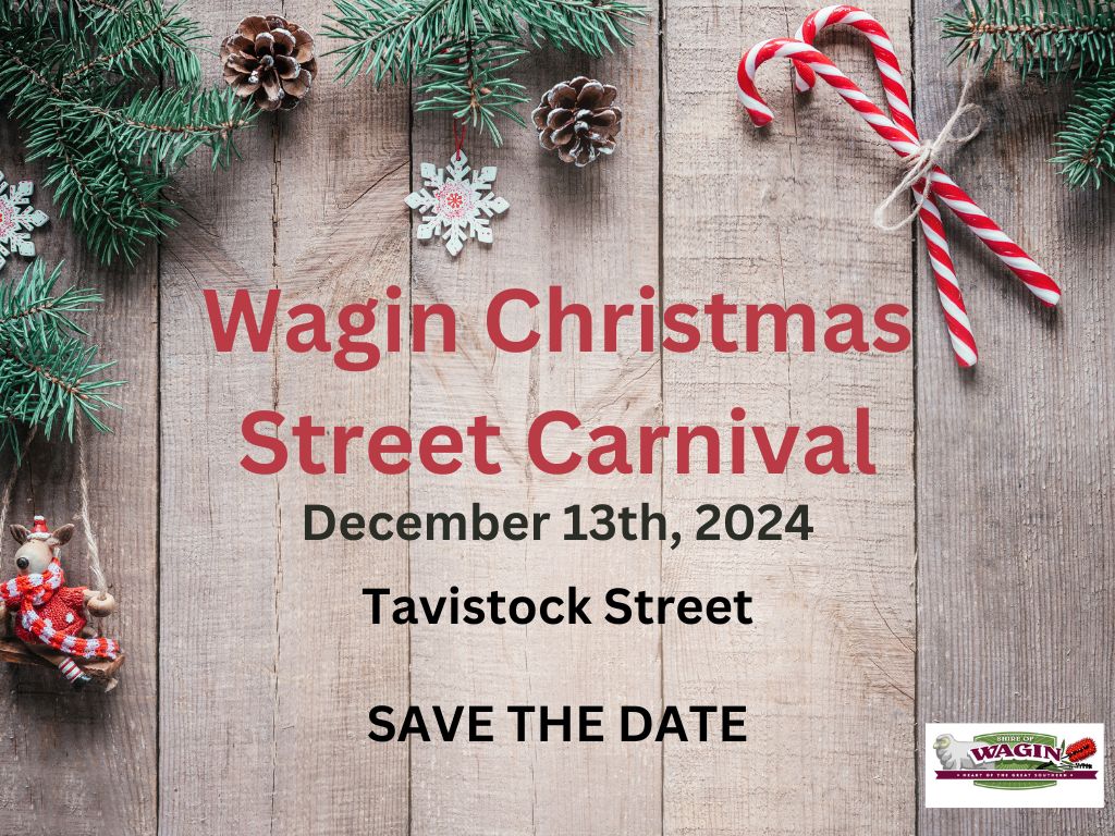 Christmas Street Carnival 2024