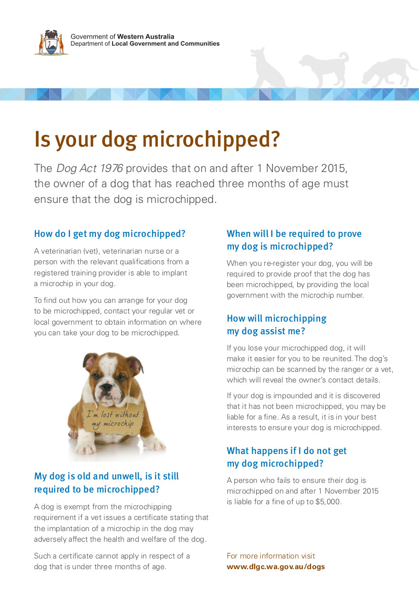 Is Your Dog Microchipped