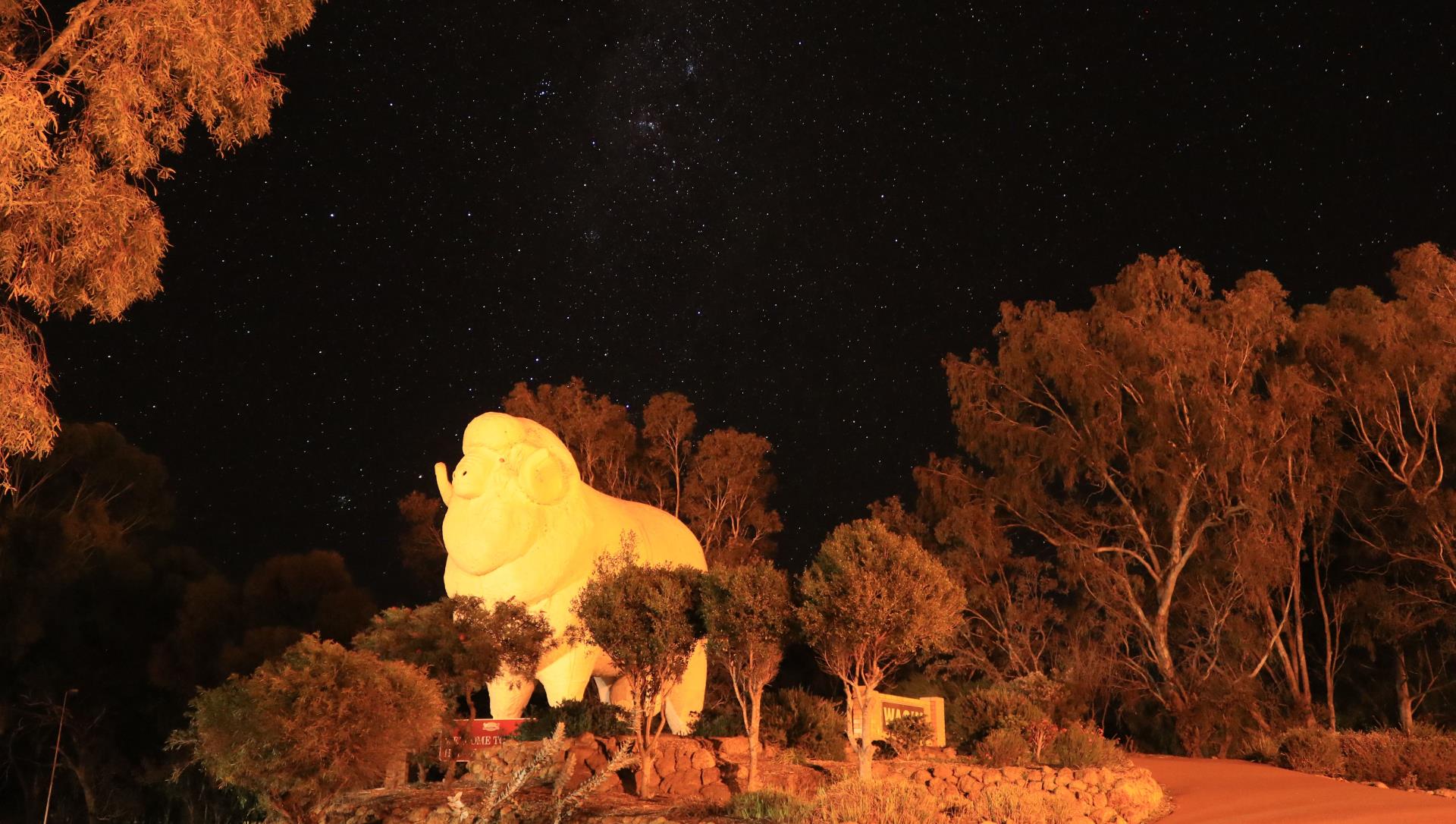 Picture: Bart under the stars