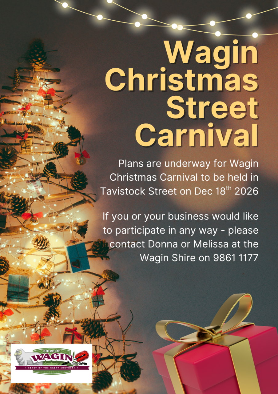 Christmas Street Carnival