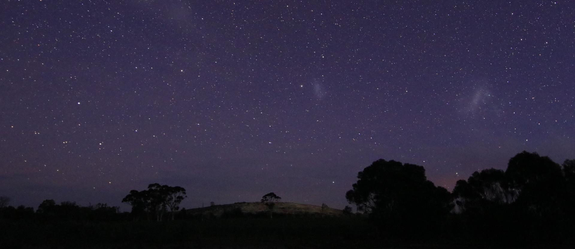 Picture: Puntapin at night