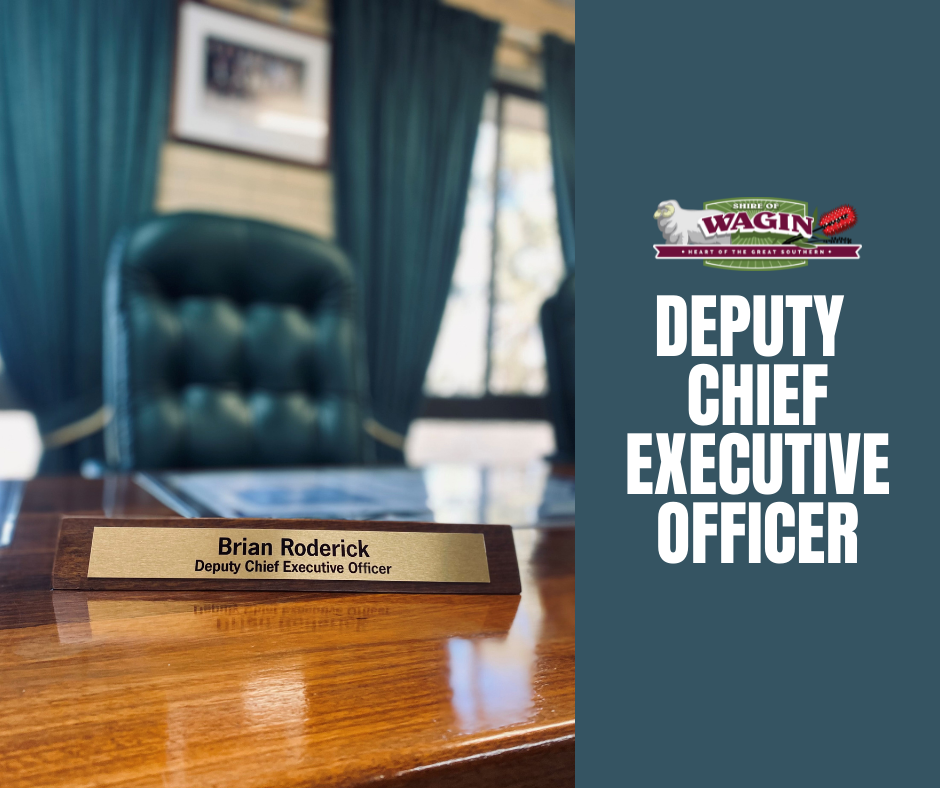 Position Vacant - Deputy Chief Executive Officer